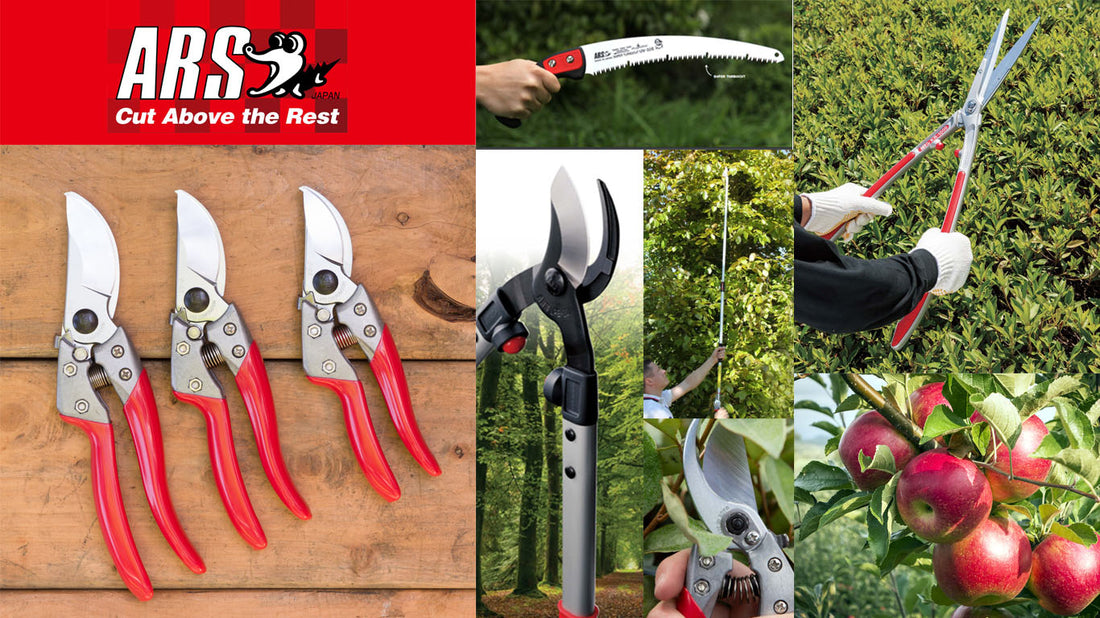 Harvesting Success: Transform Your Orchard with ARS Tools!