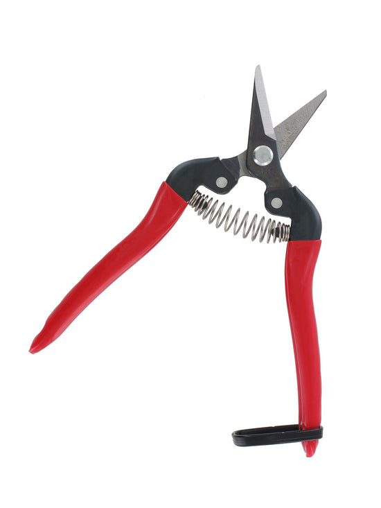 ARS 300SS Harvesting Pruner – 170 mm