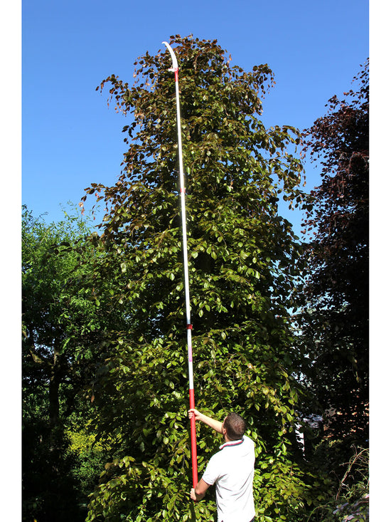 ARS EXP-4.5 Telescopic Pole – 1840-4560 mm