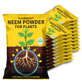 Neem Powder