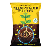 Neem Powder