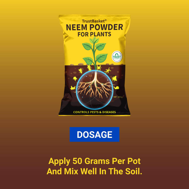 Neem Powder