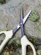 ARS Fruit Pruner