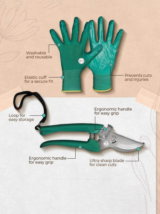 Mutliple Gardening Tools Set Combo 2 - Beginner Mutliple color 