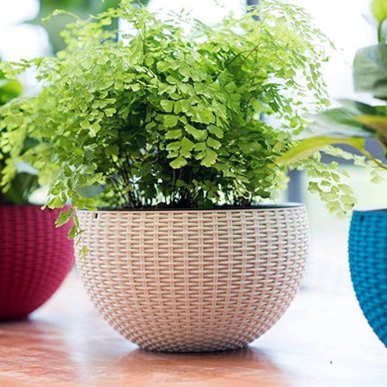 Plastic Round Hanging Planter 7" Multicolour color 