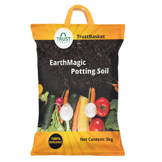 Enriched Potting Soil