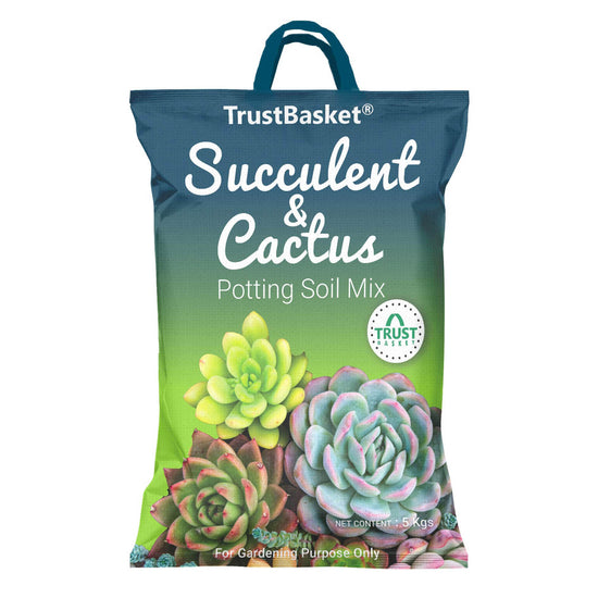 Succulent and Cactus Potting Mix