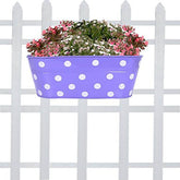 Dotted Oval Railing Planter